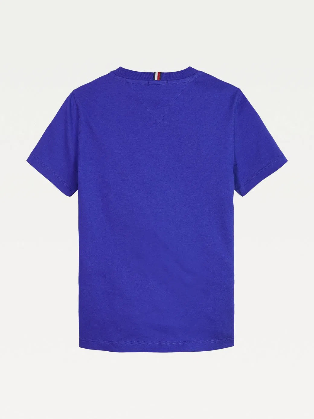Playera Tommy Expedition