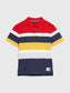 Camiseta Polo Tommy